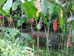 DSCF1015.JPG