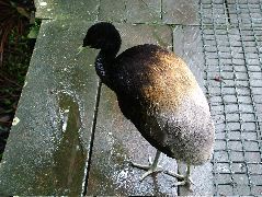 DSCF1022.JPG