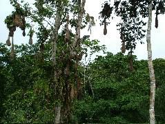 DSCF1027.JPG