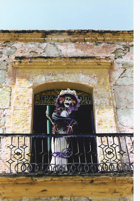 Picture of a Skeleton Statue