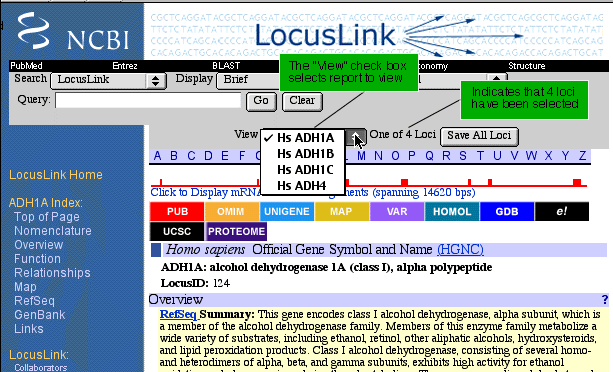 LocusLink Help